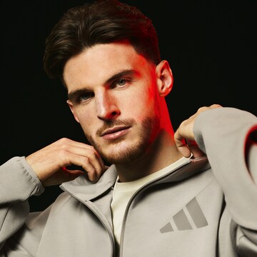 adidas Sportswear