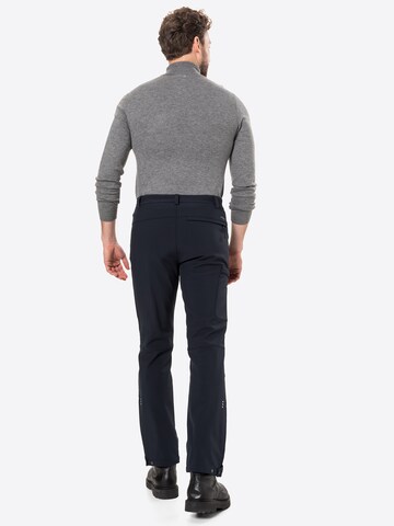 Regular Pantalon outdoor 'BOUTON' ICEPEAK en bleu
