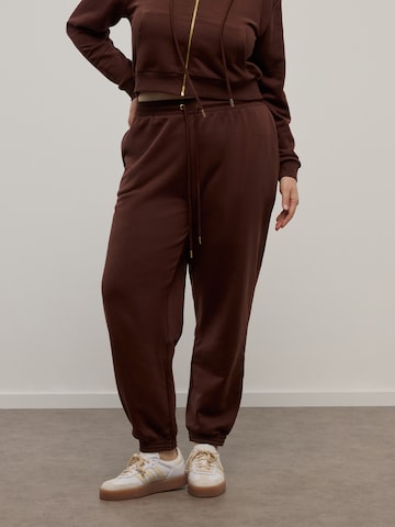 regular Pantaloni di CITA MAASS in marrone: frontale