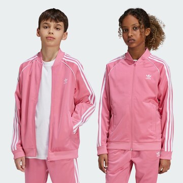ADIDAS ORIGINALS Суичъри с качулка 'Adicolor' в розово: отпред