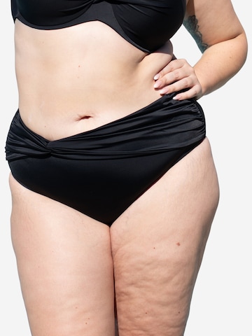 SugarShape Bikini Bottoms in Black: front
