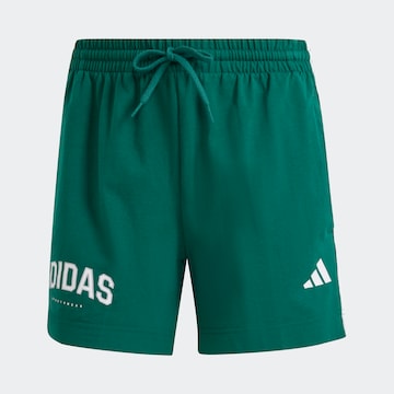 zaļš ADIDAS SPORTSWEAR Standarta Sporta bikses: no priekšpuses