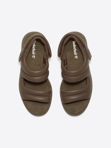 TIMBERLAND Sandals in Brown