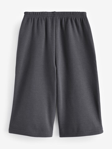 Next Wide leg Pants in Grey
