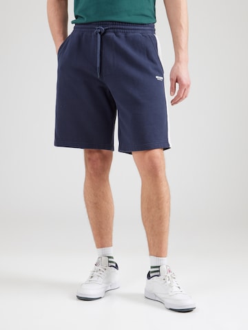 HOLLISTER Loose fit Trousers in Blue: front