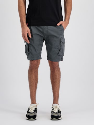 pilka ALPHA INDUSTRIES Standartinis Laisvo stiliaus kelnės: priekis