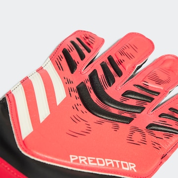ADIDAS PERFORMANCE Athletic Gloves 'Predator' in Black