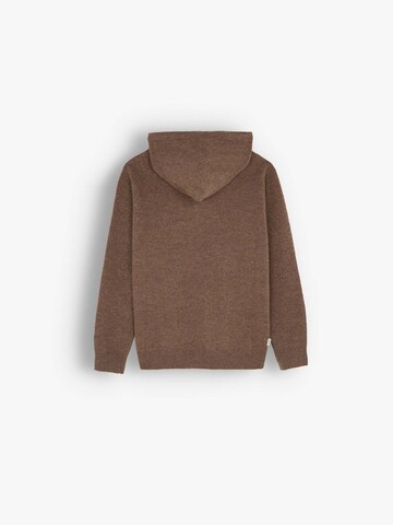 Scalpers Sweatshirt i brun