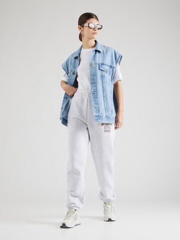 Effilé Pantalon 'BAZORO' LTB en gris