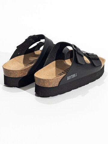 Bayton Mule 'JAPET' in Black