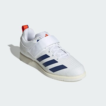 Chaussure de sport 'Powerlift 5' ADIDAS PERFORMANCE en blanc